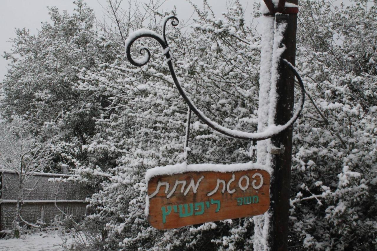 Вілла פסגת מתת Pisgat Mattat Екстер'єр фото